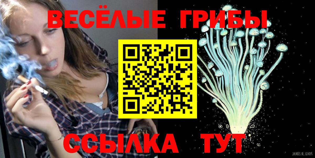 Псилоцибиновые грибы Psilocybine cubensis Кубинка