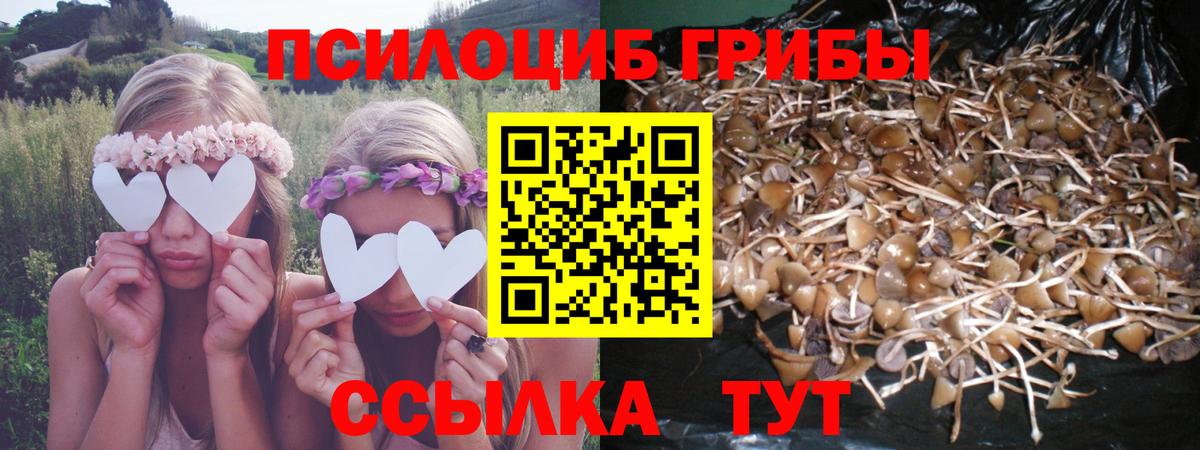 Галлюциногенные грибы MAGIC MUSHROOMS  Галлюциногенные грибы мухоморы  Вход с VPN  Кубинка 